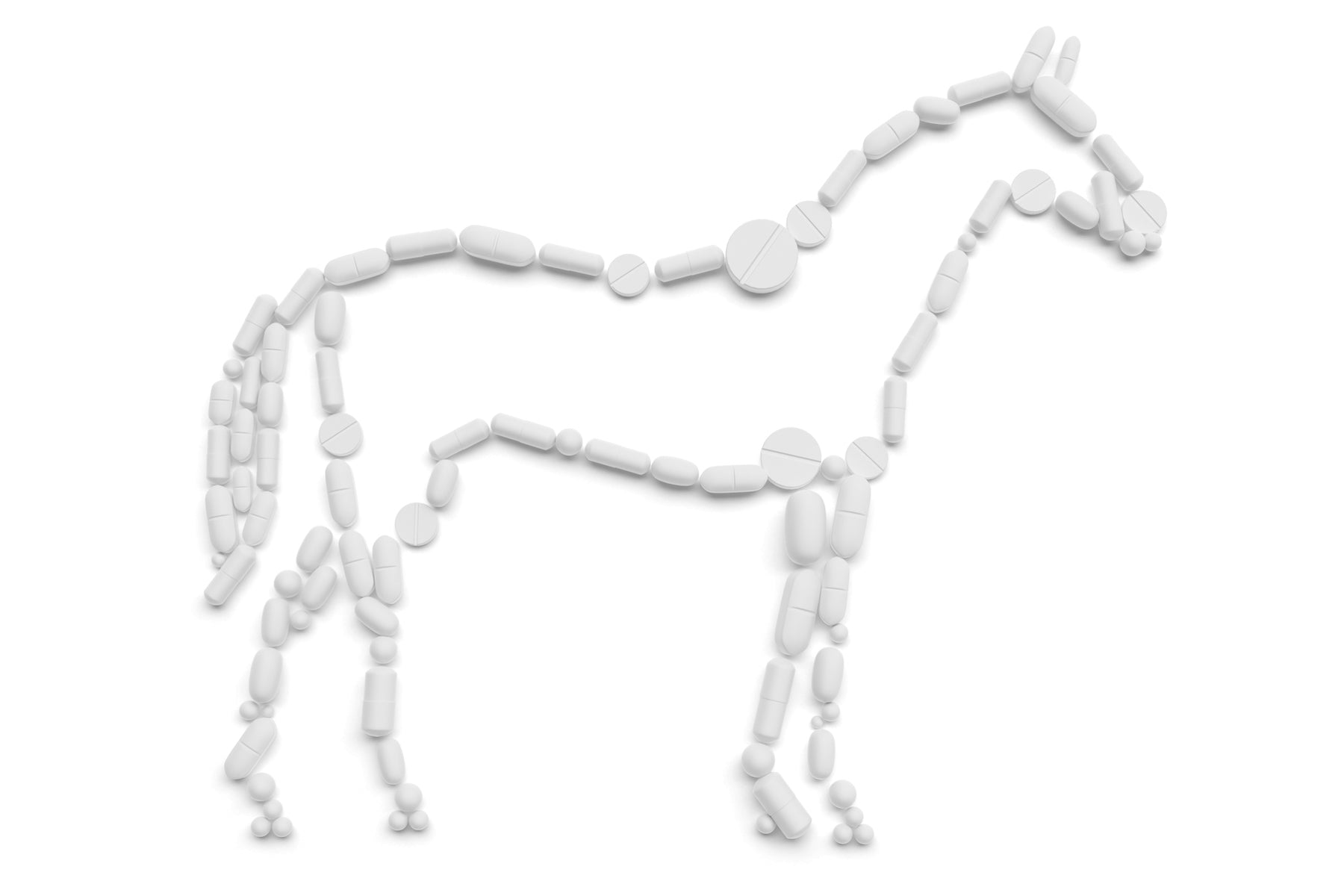 Equine Pain Management & Side Effects of Medications